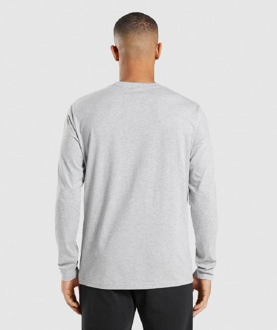 Long Sleeve Gymshark Crest Hombre Gris Claro | CO 3465ZUT